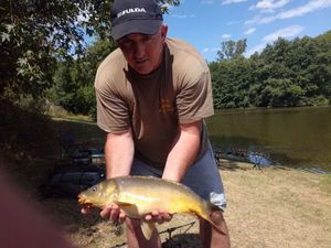 Mirror Carp