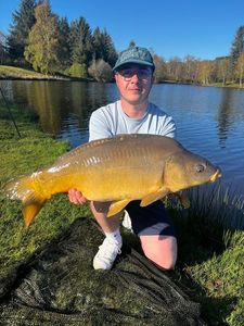 Mirror Carp