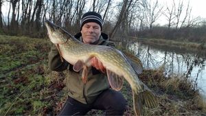 Northern Pike