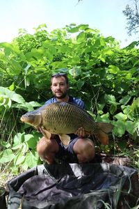 Common Carp