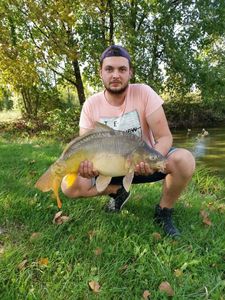 Mirror Carp