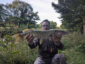 Northern Pike
