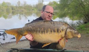 Mirror Carp