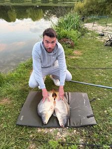 Mirror Carp