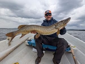 Northern Pike