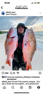 Mutton Snapper