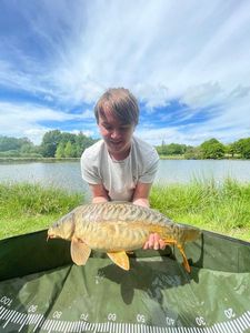 Mirror Carp
