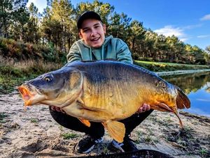 Mirror Carp