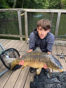 Mirror Carp