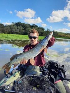 Northern Pike
