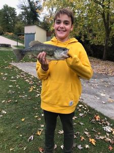 Largemouth Bass