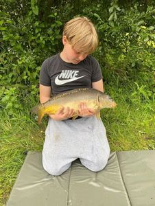 Mirror Carp