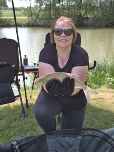 Common Bream
