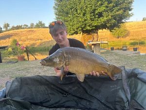 Mirror Carp