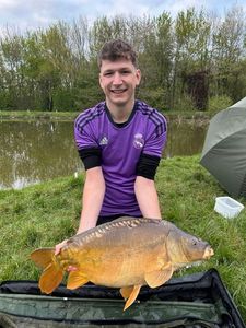 Mirror Carp