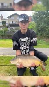 Mirror Carp