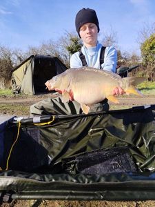 Mirror Carp