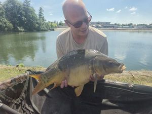 Mirror Carp