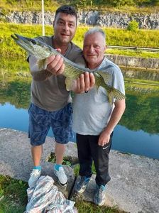 Northern Pike