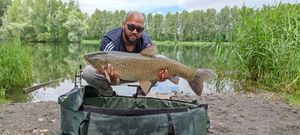 Grass Carp