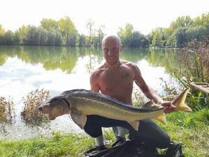 Sturgeon
