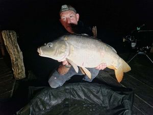 Mirror Carp