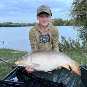 Mirror Carp