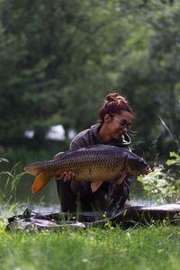 Common Carp