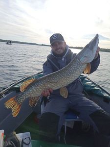 Northern Pike