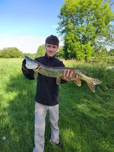 Northern Pike