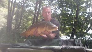 Mirror Carp