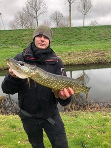 Northern Pike