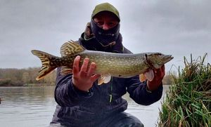 Northern Pike