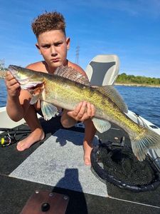 Zander