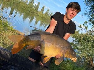 Mirror Carp