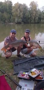 Mirror Carp