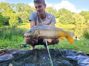 Mirror Carp