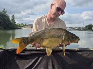 Mirror Carp