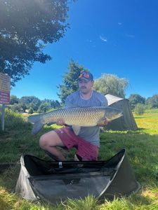 Grass Carp