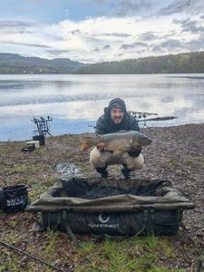 Mirror Carp