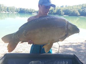 Mirror Carp