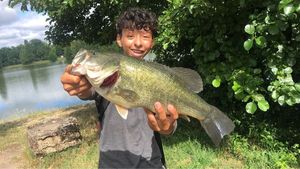 Largemouth Bass