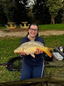 Mirror Carp