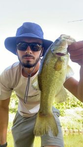 Largemouth Bass