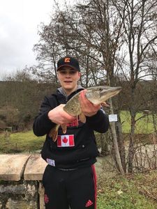 Northern Pike