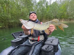 Northern Pike