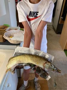 Northern Pike