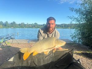 Common Carp