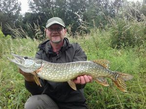 Northern Pike
