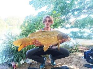 Common Carp